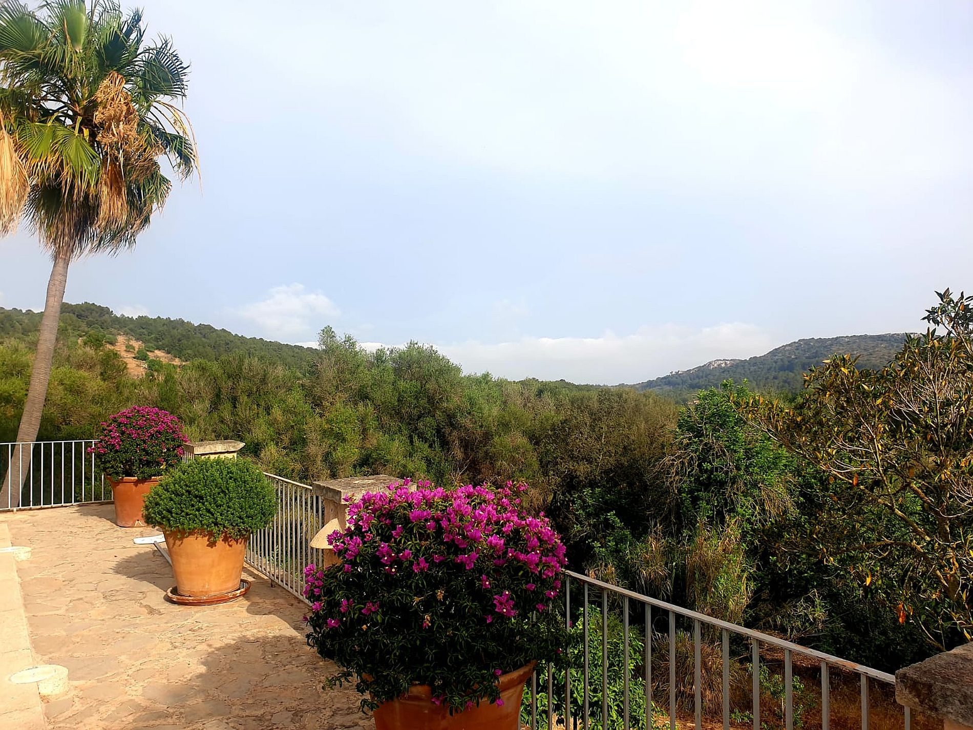 Charming rural quality finca with mountain views