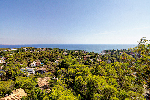 Splendid sea view plot, villa project in Portals Nous